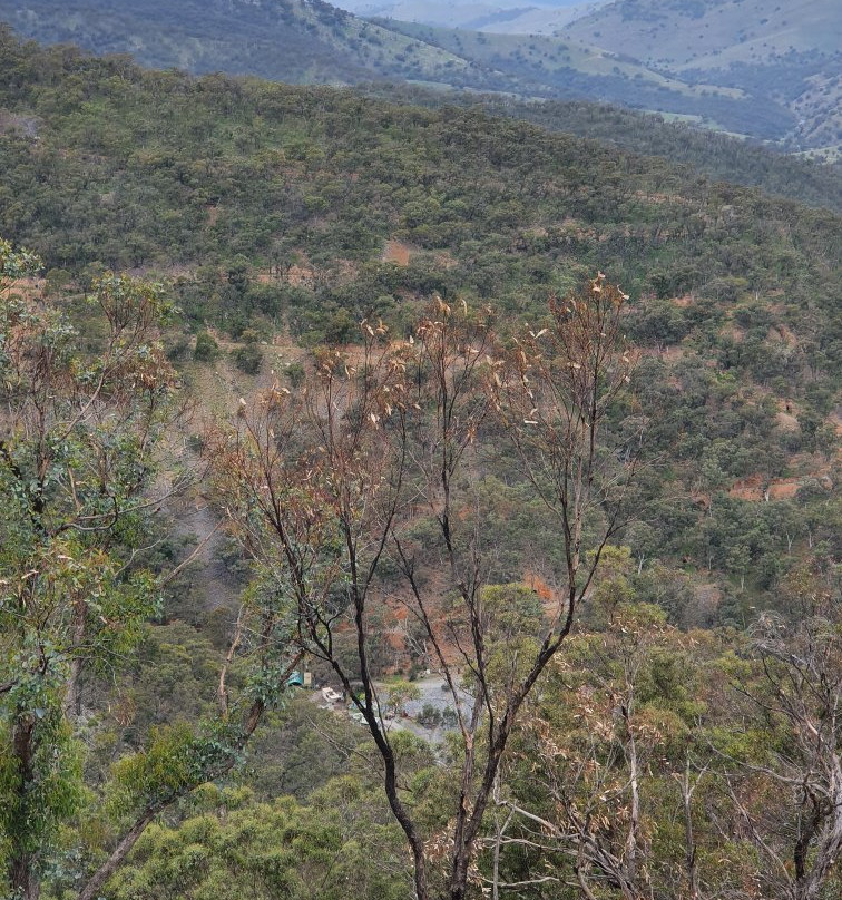 Merlins Lookout-Hill End必去景点