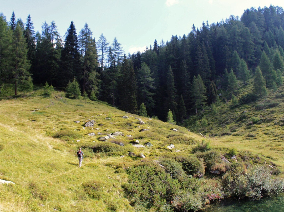 Lago Seeberg景点图片