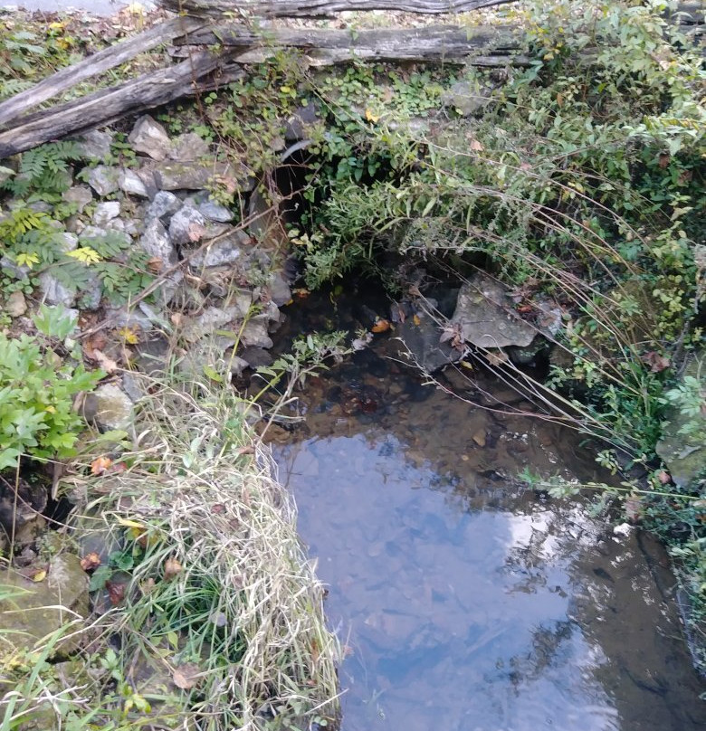 Historic Sylvan Falls Mill Bed and Breakfast主图