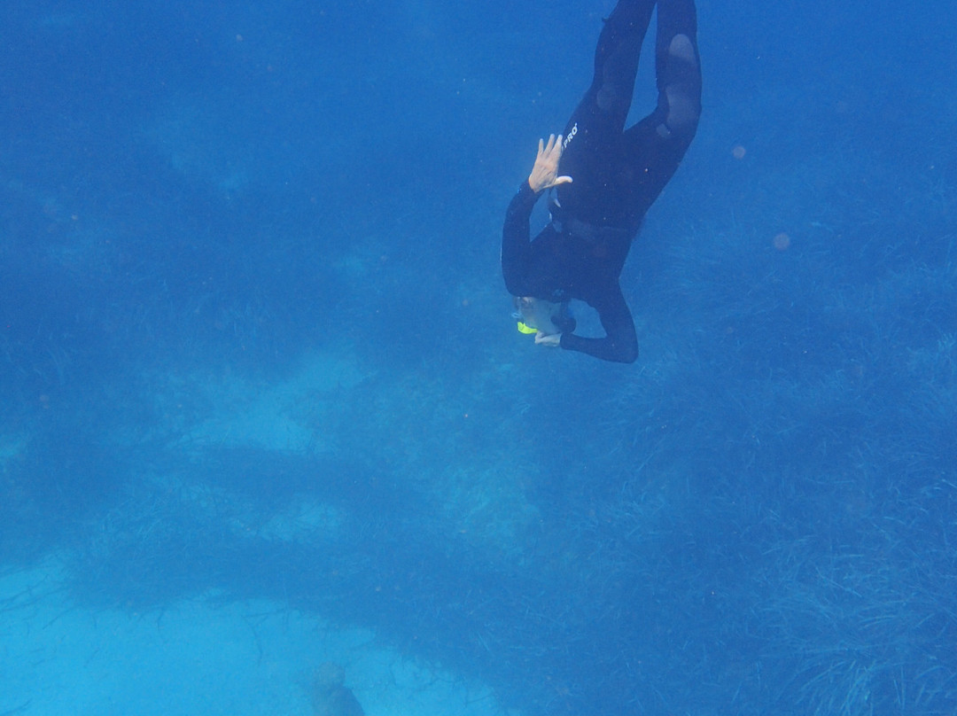One Breath Freediving-圣保罗湾城必去景点