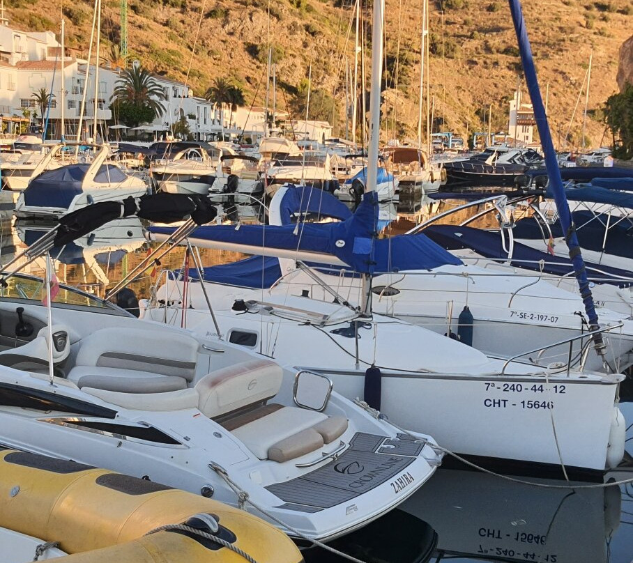 Puerto Deportivo Marina del Este-阿尔穆涅卡尔必去景点