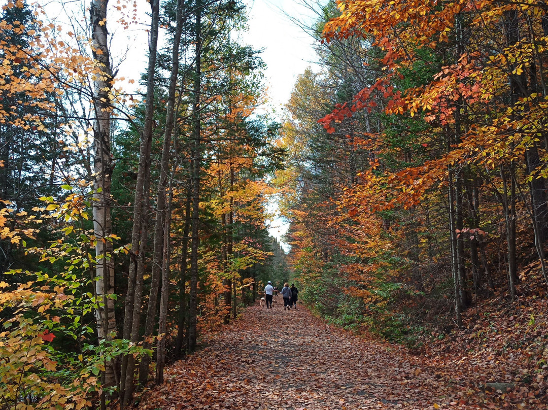 Parc de la Rivière Doncaster-Sainte-Adele必去景点