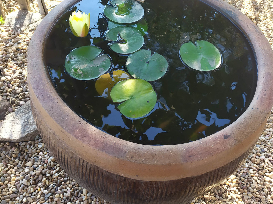 Hotel La Canela主图