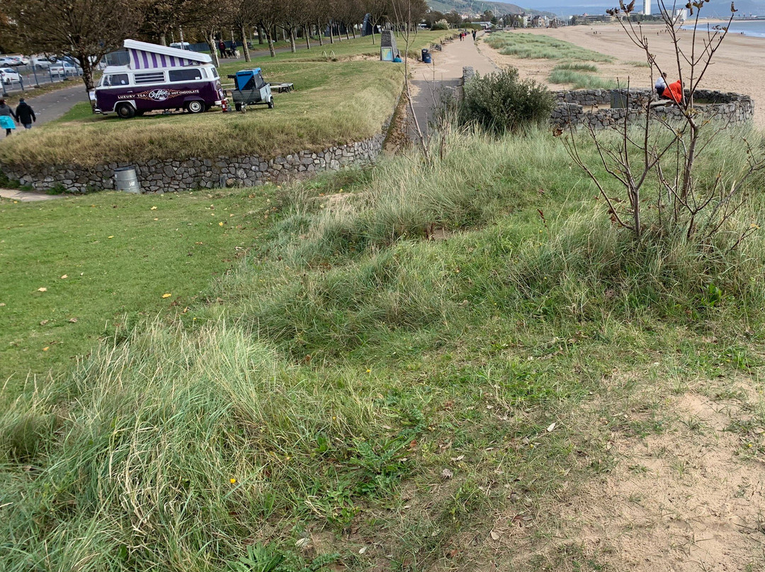 Swansea Beach-斯温西必去景点