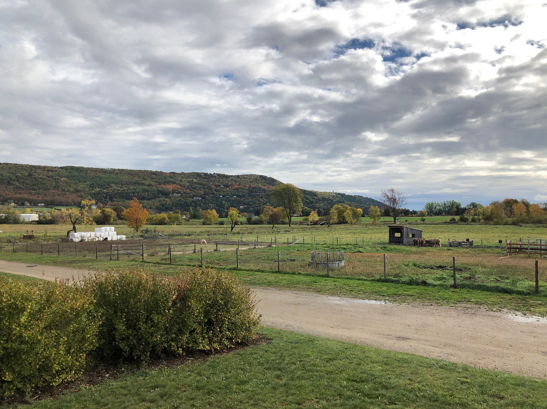 Hôtel & Spa Le Germain Charlevoix主图