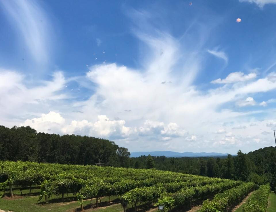 Engelheim Vineyards-Ellijay必去景点