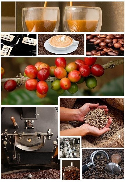 Cafeina Roasters景点图片