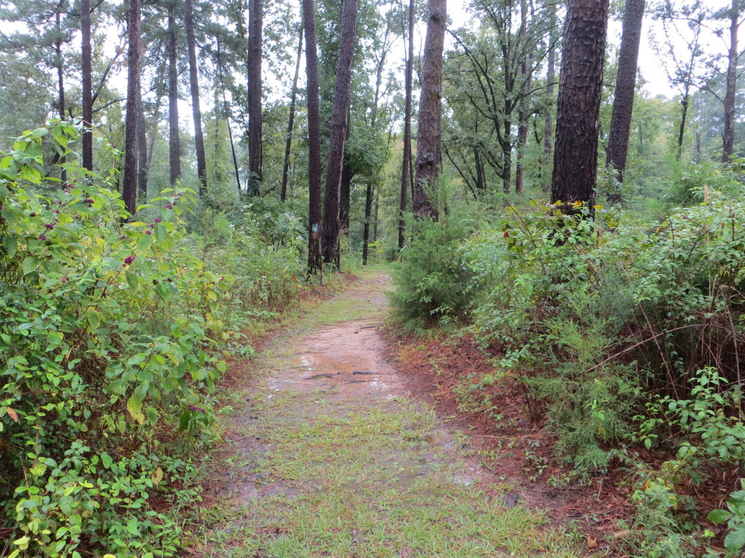 Atlanta State Park-Atlanta必去景点