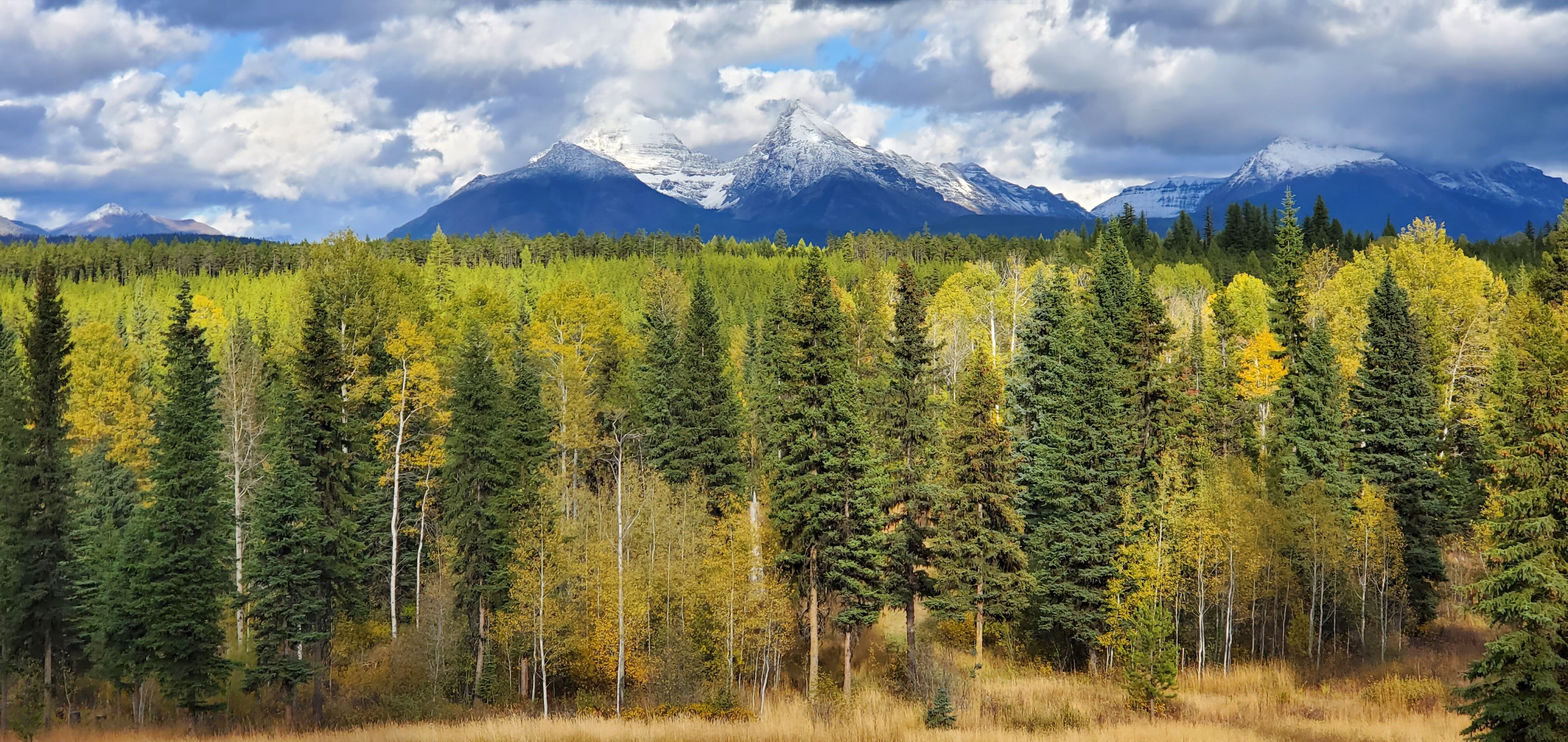 The Way Less Traveled Bed & Breakfast-官方