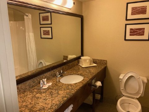 萨沃尼舒适套房酒店-秀格尔洛弗-浴室