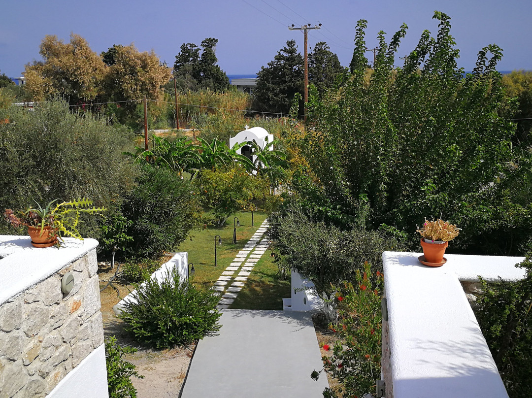 Anastasia's Garden主图