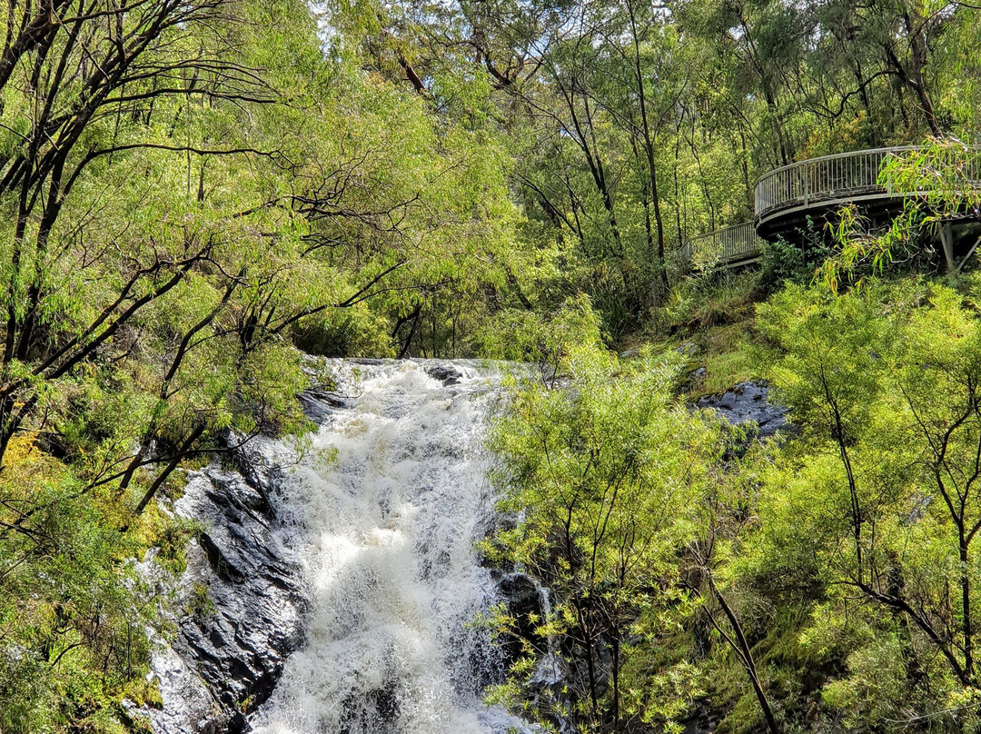 Beedelup National Park-彭伯顿必去景点