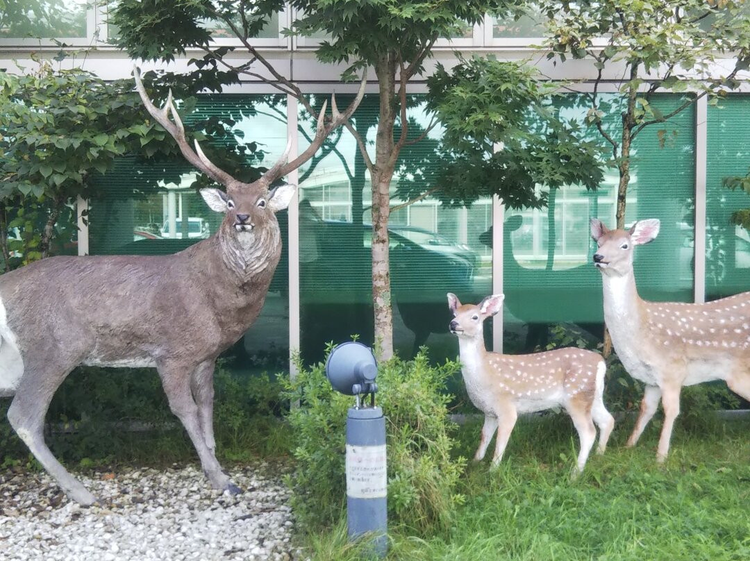 Ezoshika Statue-钏路市必去景点