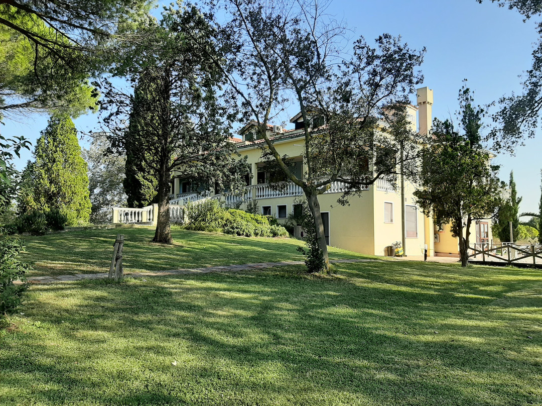 Sant'Erasmo旅游攻略图片