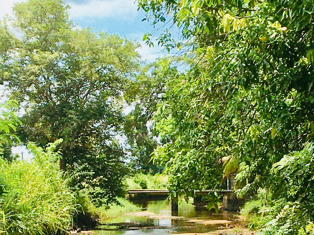 Sri Lanka Ocean Island tours-Kadawata必去景点