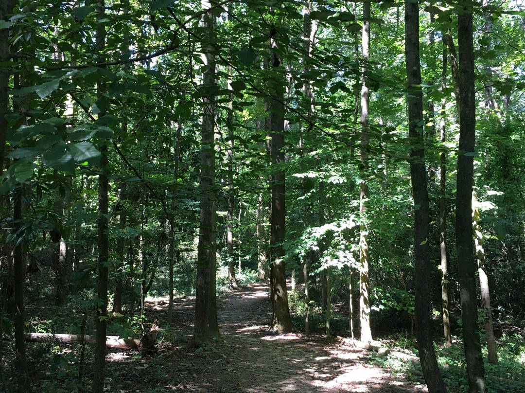 Tucker Nature Preserve-Tucker必去景点