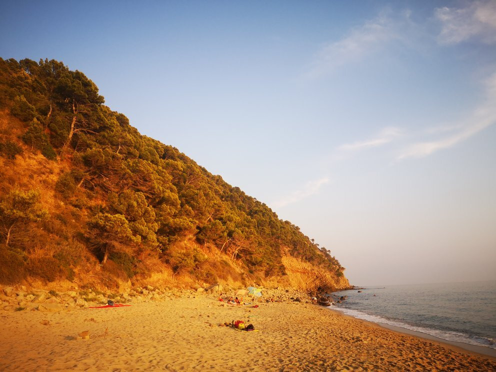 Spiaggia di Ogliastro Marina景点图片