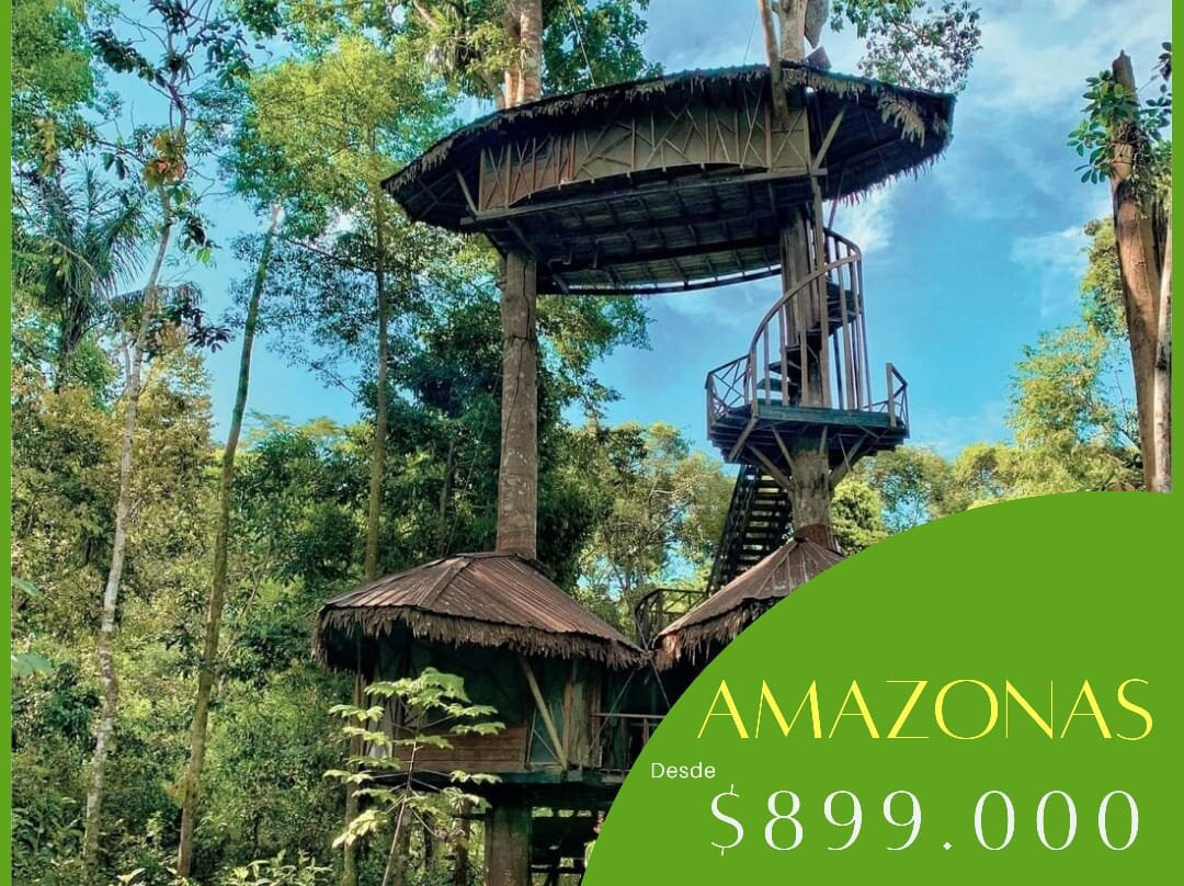 Hotel Amazon by On Vacation主图