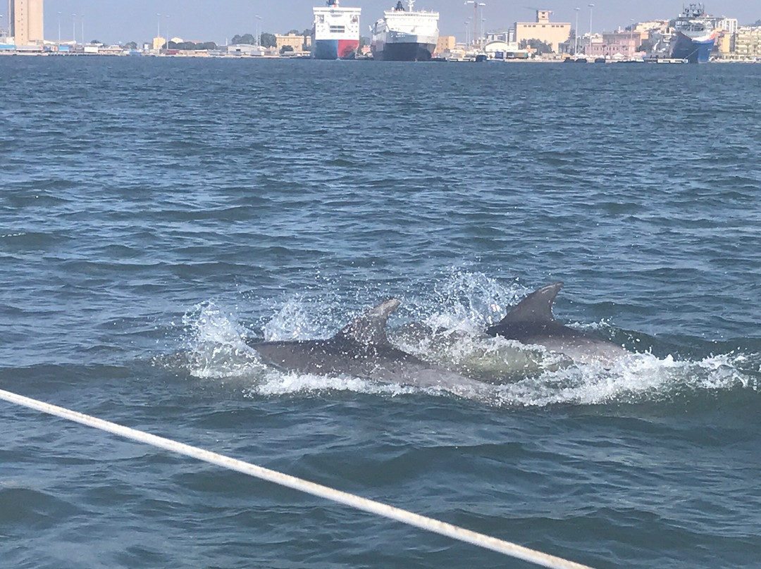 Secretu Sardu-普拉必去景点