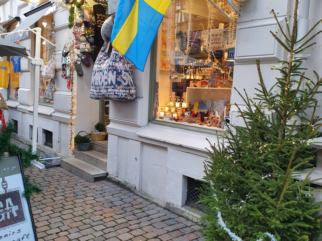 Haga of Sweden-哥德堡必去景点