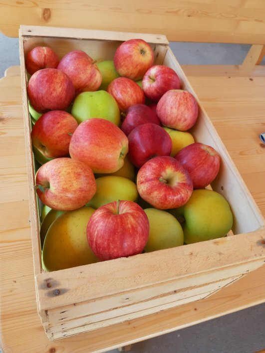 Agriturismo NonSoloMele主图