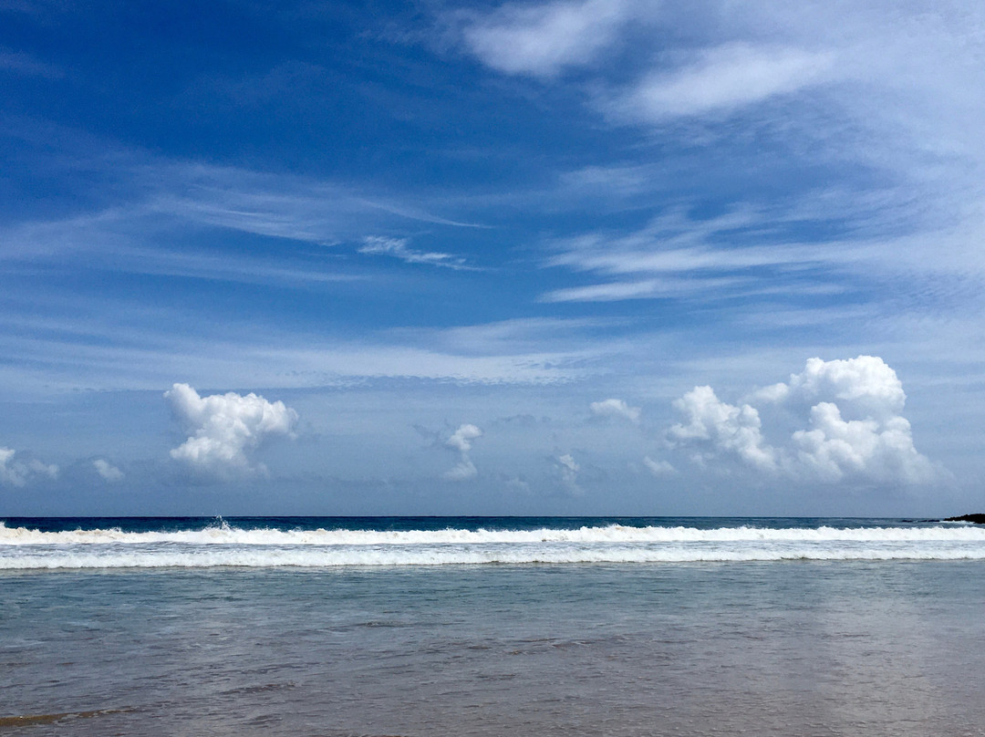 Swiss Lanka Bed & Breakfast主图