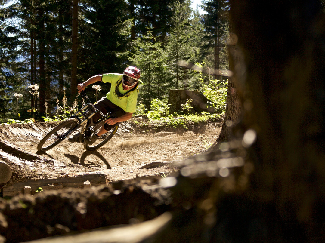 Alpenbikepark Chur景点图片