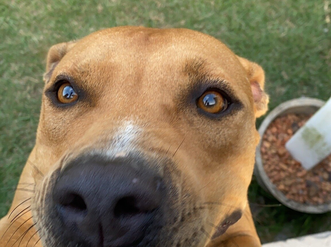 La Belle Nuit Recanto Ecologico主图