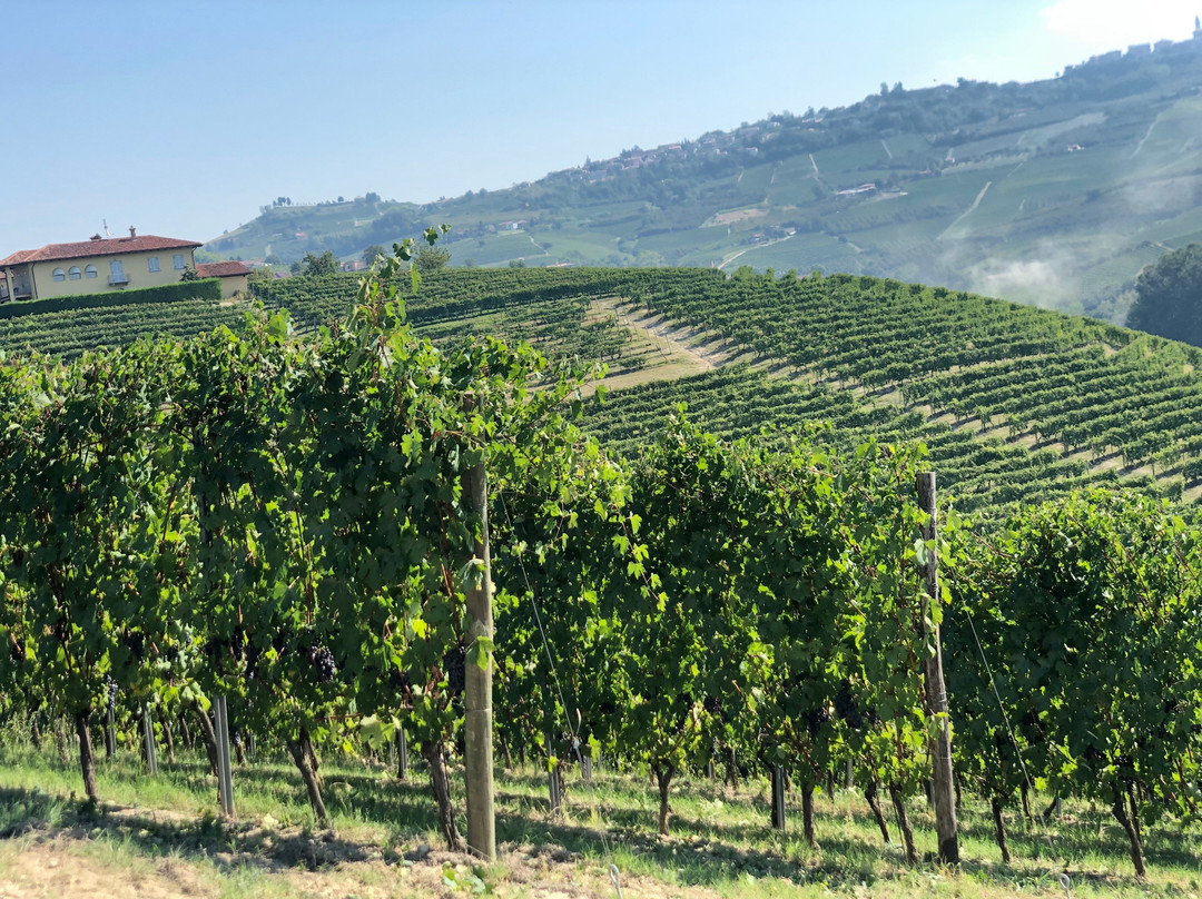 Cascina Sant'Eufemia主图