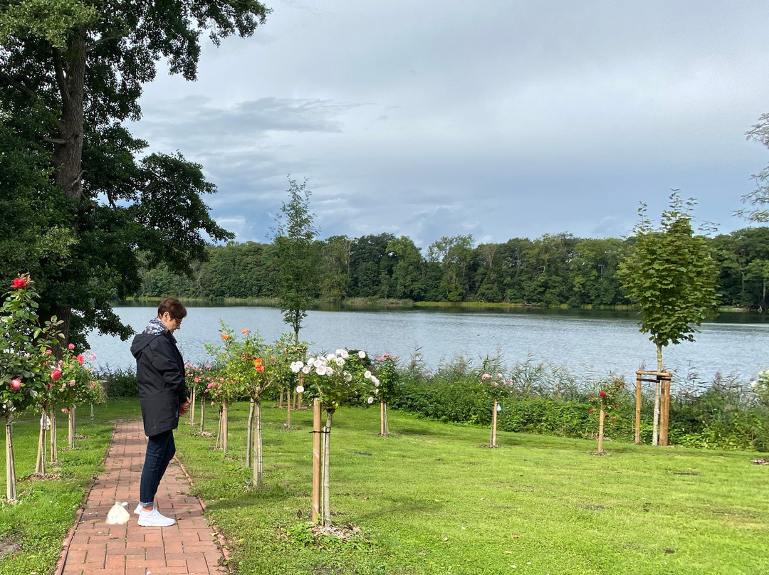 Seeschloss Schorssow主图