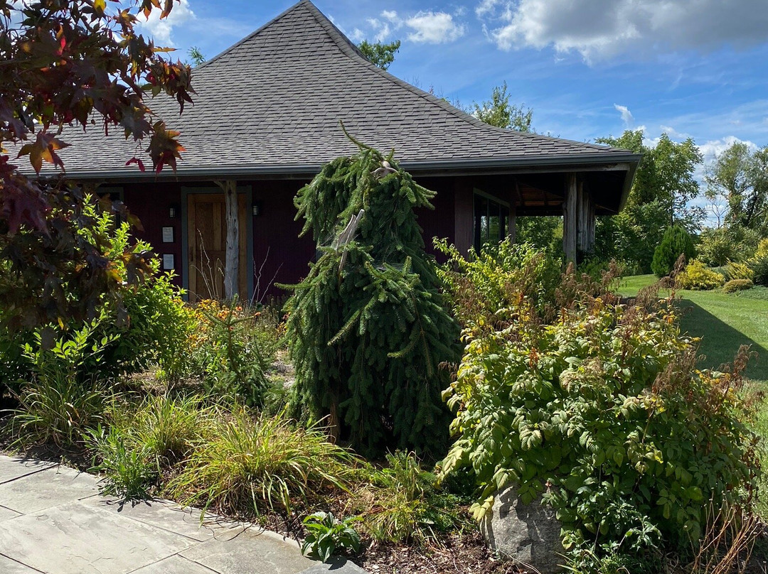 Shalestone Vineyards-Lodi必去景点