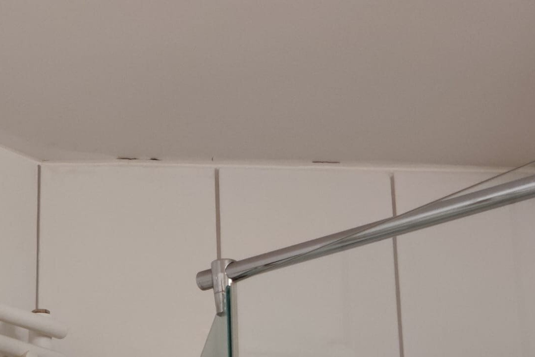 Hotel Badischer Hof主图