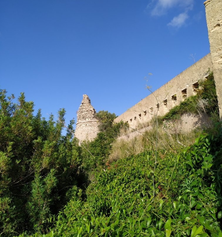 Torre Cavallo景点图片