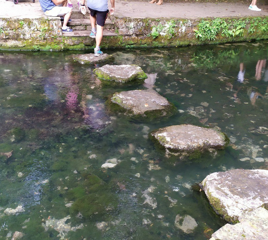 Parque y Nacimiento de La Fuentona en Ruente景点图片