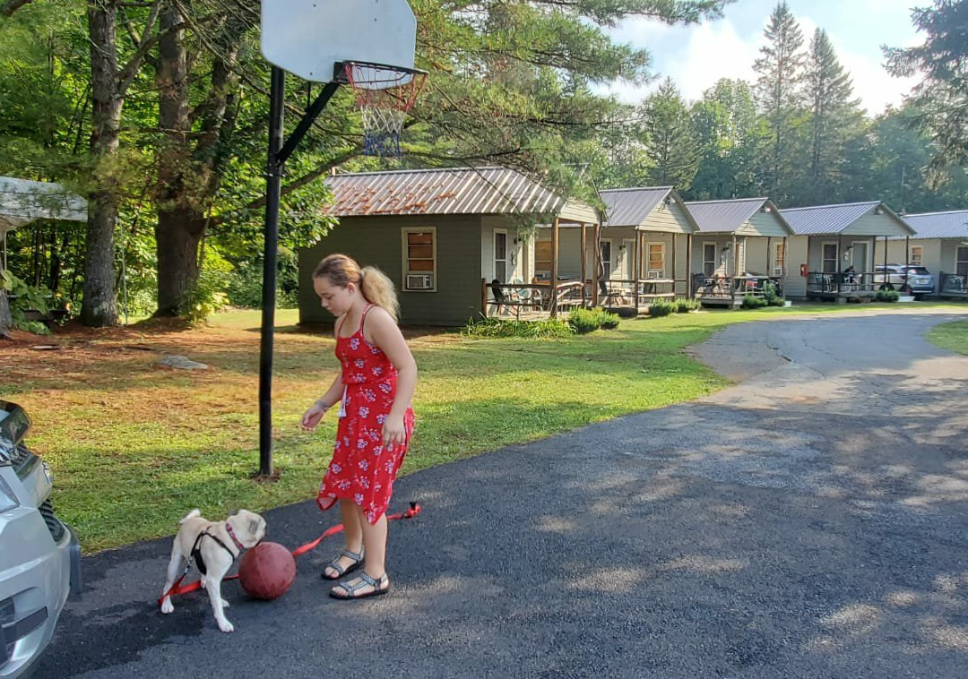 Pine Tree Motel & Cabins主图