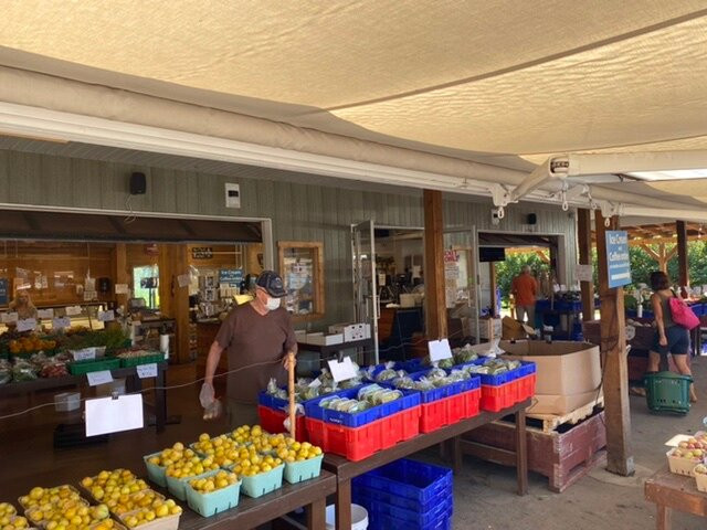Paynter's Fruit Market景点图片