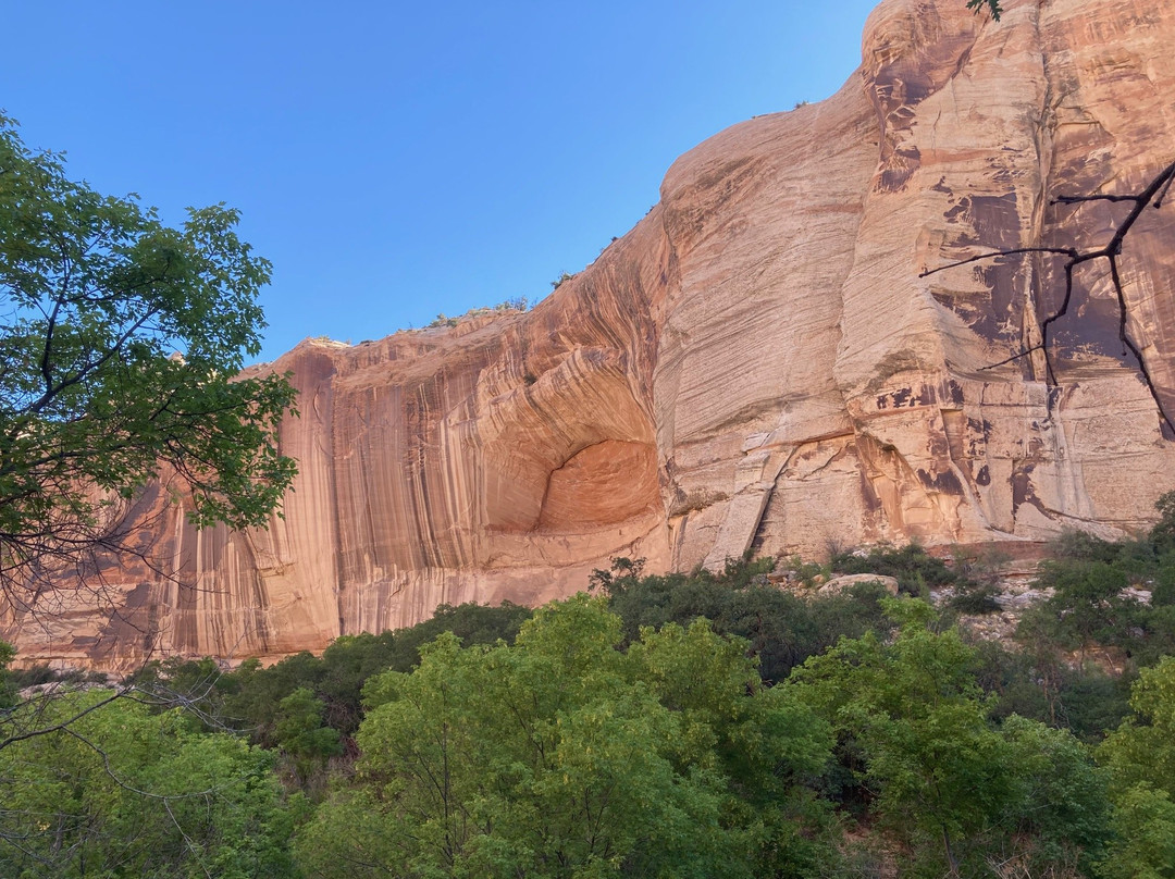 Lower Calf Creek Falls景点图片