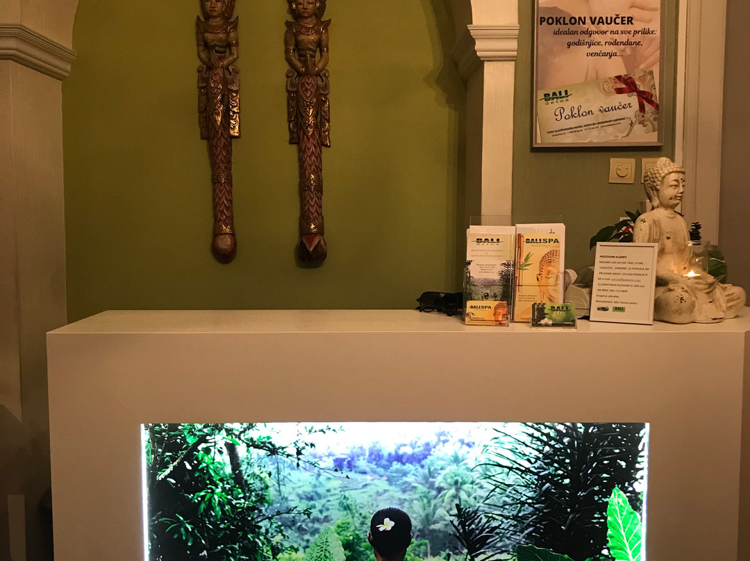 Bali Detox-贝尔格莱德必去景点