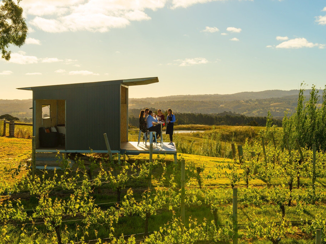 The Lane Vineyard - Experiences景点图片