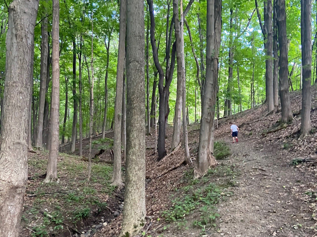 Elizaville旅游攻略图片