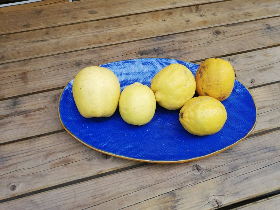 Sbuccia-菲纳莱利古雷必去景点