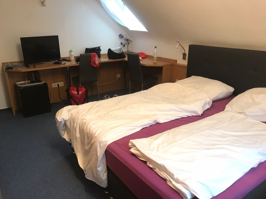 Hotel Rebstock主图