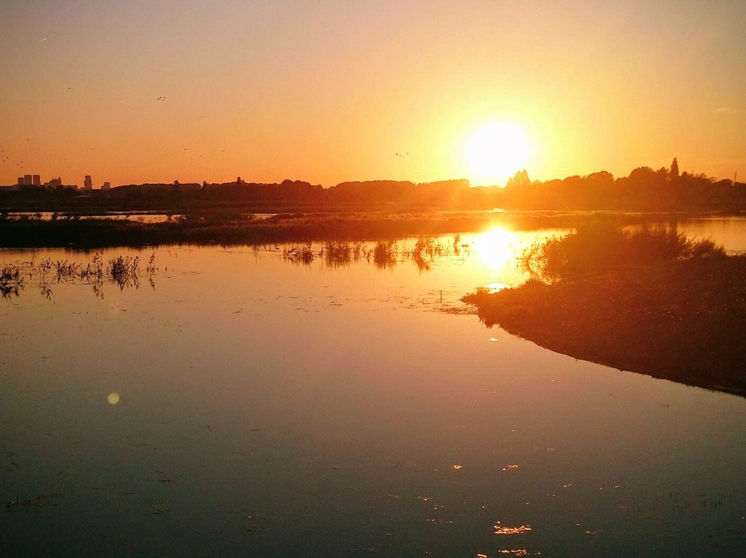 Molendriegang Drie Molens景点图片