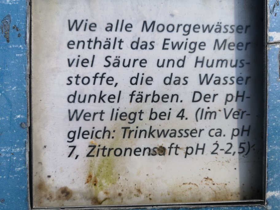 Ewiges Meer-Dornum必去景点