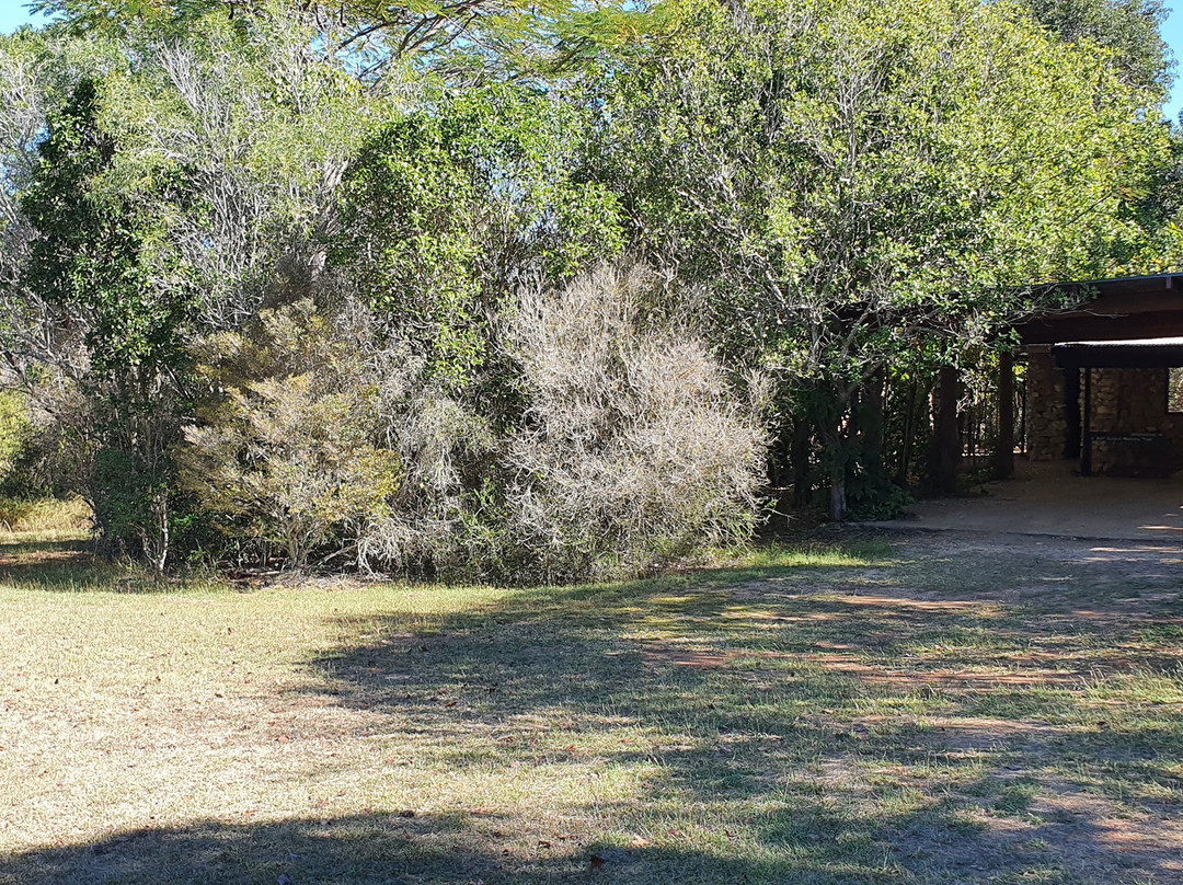 Mount Etna Caves National Park-The Caves必去景点