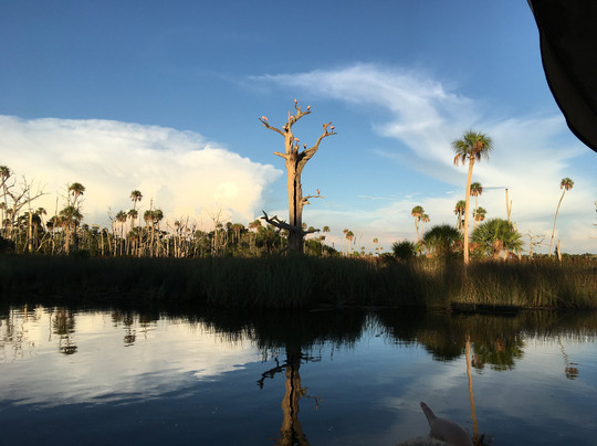 Osprey Guide Services - Tours-Yankeetown必去景点