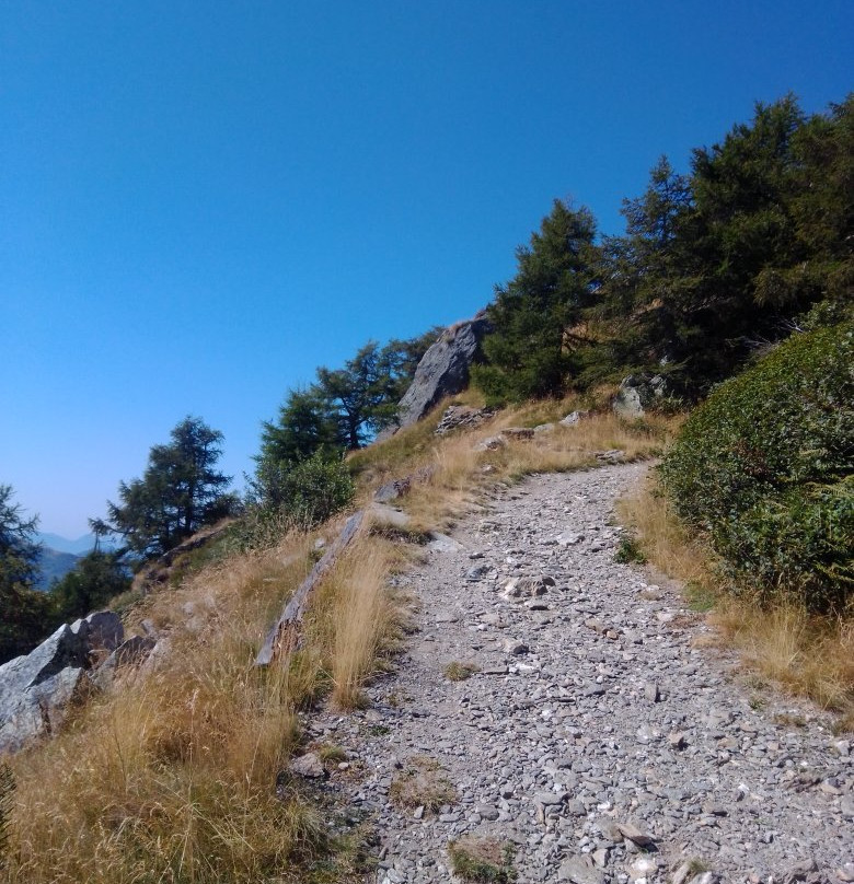 Monte Legnoncino景点图片