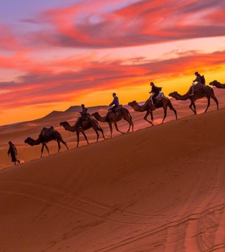 Chebbi Morocco Tours-卡萨布兰卡必去景点