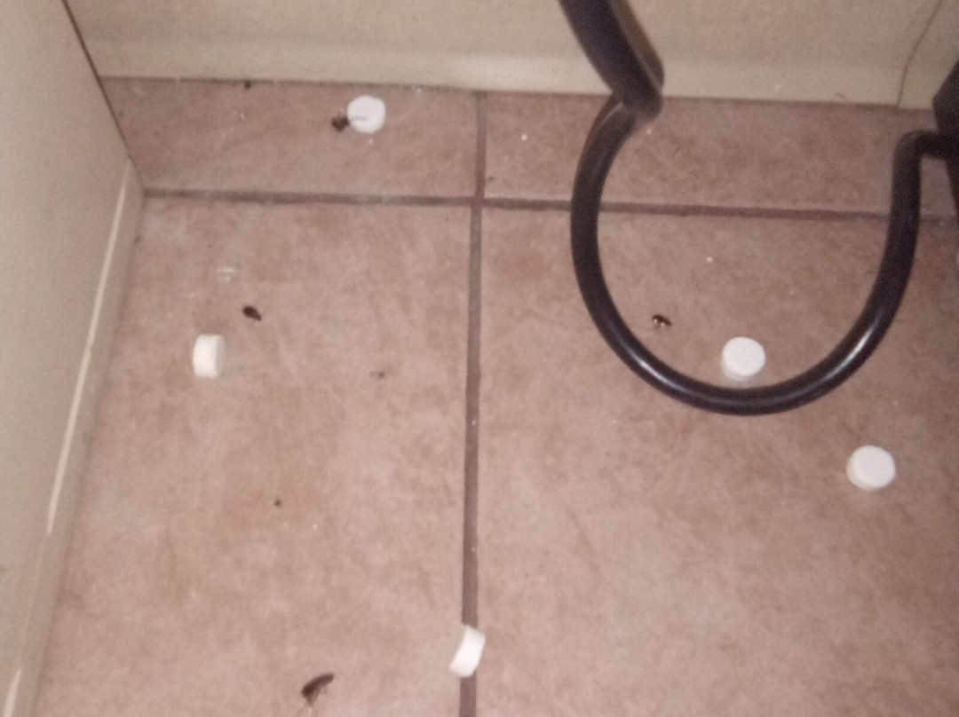 热带海滩汽车旅馆主图