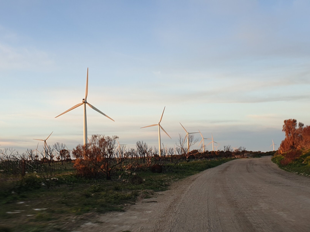 Wattle Point Wind Farm-Edithburgh必去景点
